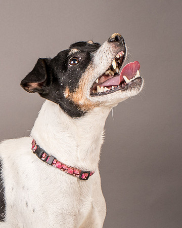 Foster Pollyanna-3923