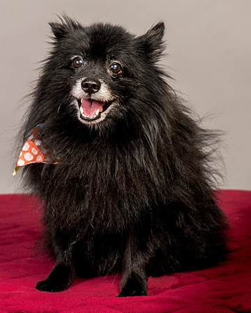 Foster Wayne-7841