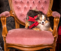 Foster Gabe-4399
