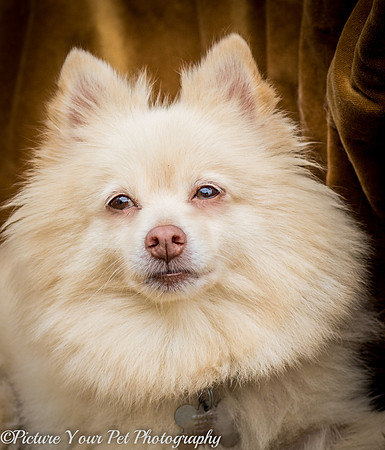 Foster Laverne-6295