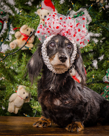 Foster Bernice-1326