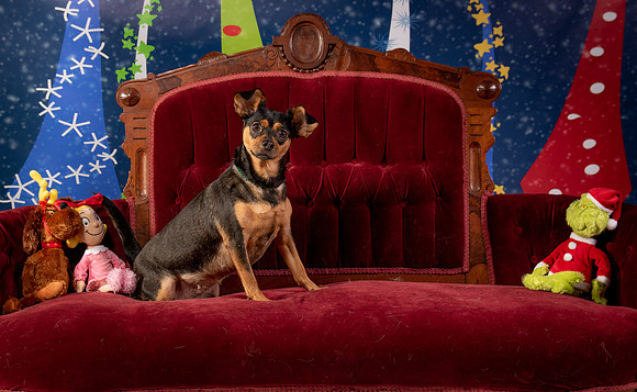 Foster Jolie-6471