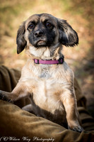 Foster Trudy