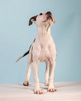 Foster Luna-4688