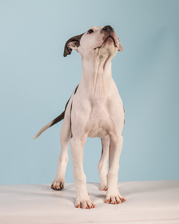 Foster Luna-4688