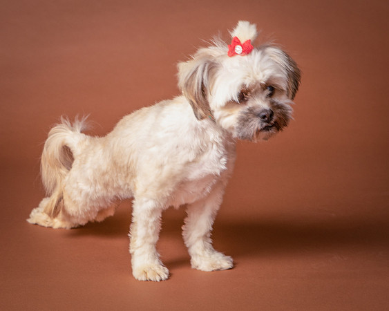 Foster Frida-9751