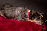 Foster Nadine-9571