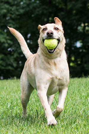 augusta with ball-2696