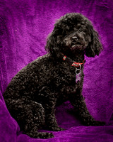 Foster Mindy-7317