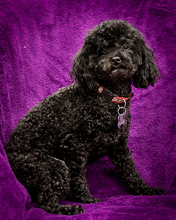 Foster Mindy-7317