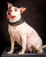 Foster Joanie-0430