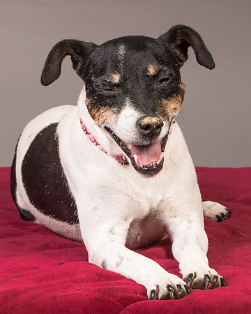 Foster Pollyanna-3823