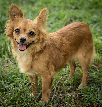 Foster Dolly-7779