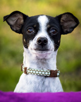 Foster Haylie-4119