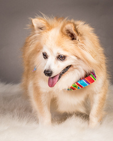 Foster Lilly-3406