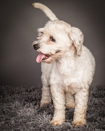 Foster Everly-2371