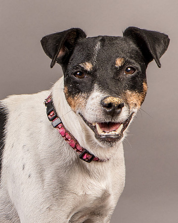Foster Pollyanna-4008