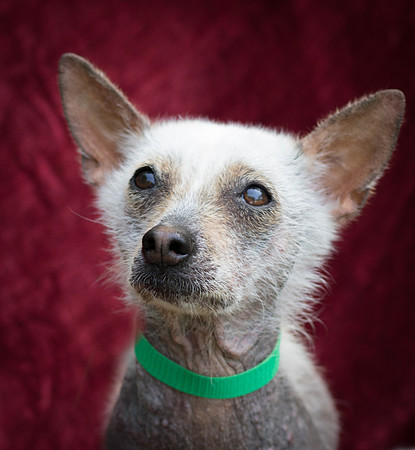 Foster Jillian-8653