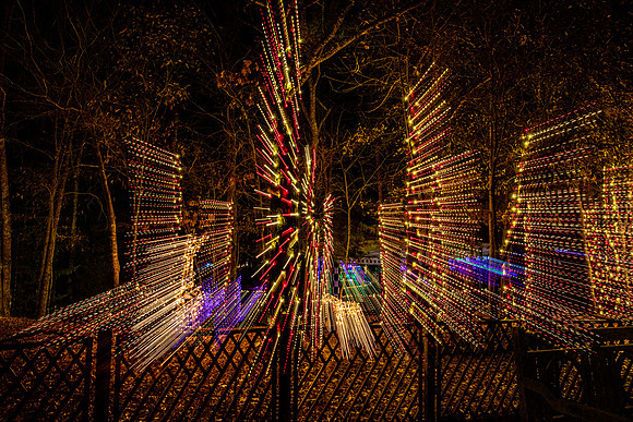 Christmas-2650