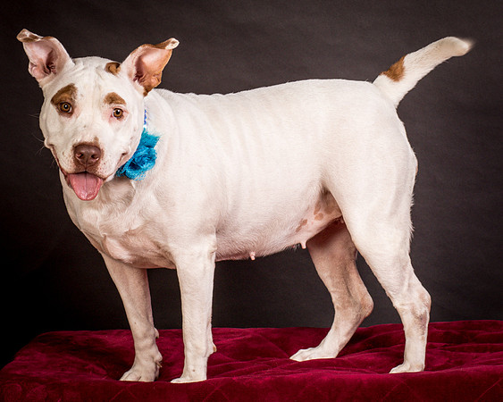 Foster Joanie-0468