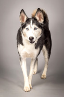 Bella-2456