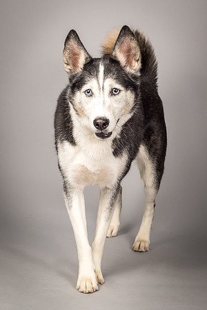 Bella-2456