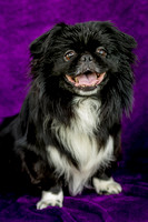 Foster Prince-0744