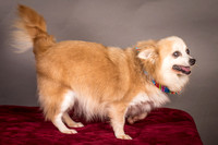 Foster Lilly-3331