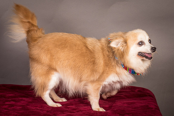Foster Lilly-3331