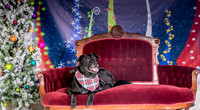 Foster Beatrice-3976