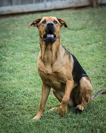 Foster Maya-0406