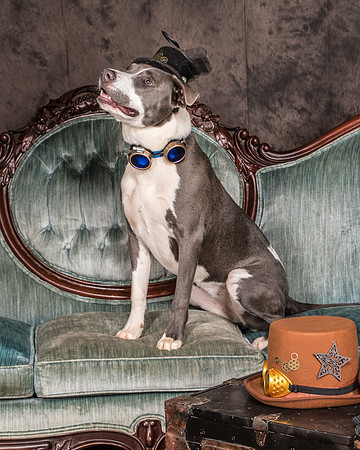 Foster Juliana-8062