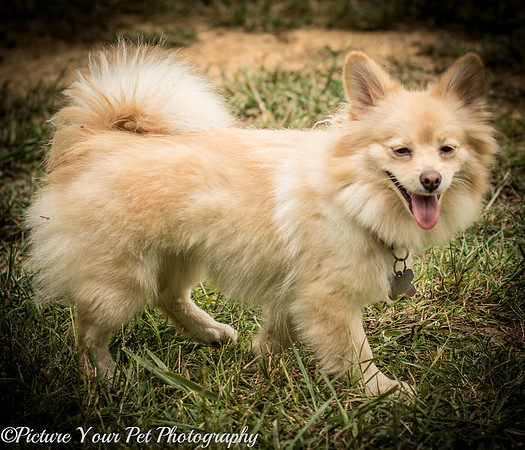 Foster Shirley-6385