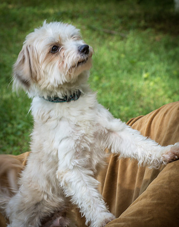 Foster Ricardo-8709