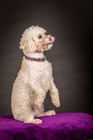 Foster Mae-8984