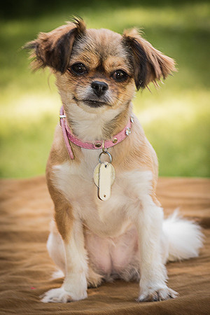 Foster Missy-0456
