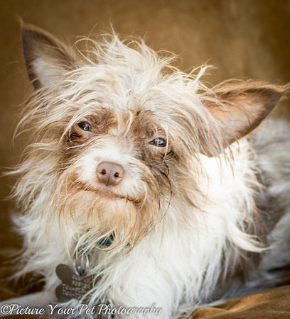 Foster Malachi-6739