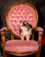 Foster Gabe-4380