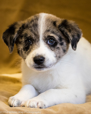 Foster Mira Jane-0355