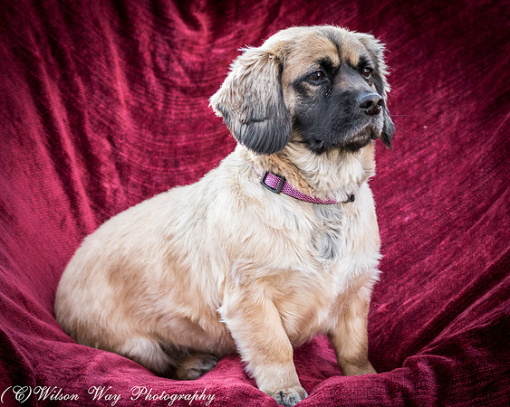 Foster Trudy-48