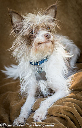Foster Malachi-6714