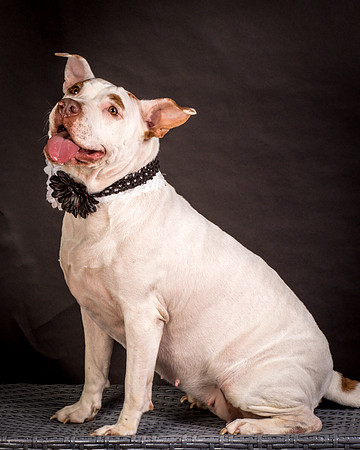 Foster Joanie-0427