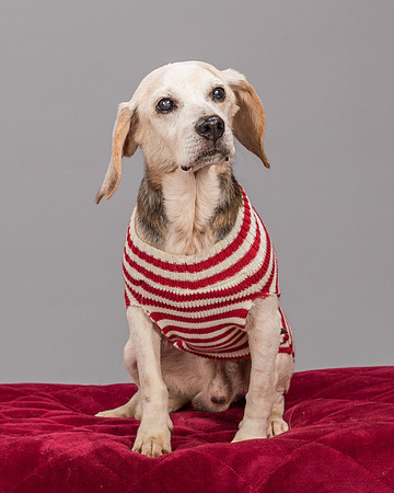 Foster Gabe-2302