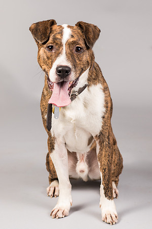 Foster Coolidge-3138