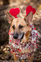 Foster Rita-2573