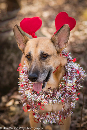 Foster Rita-2573