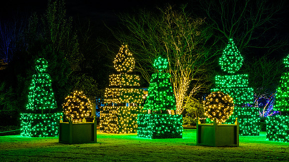 Christmas-2933