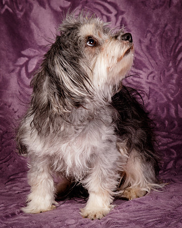 Foster Alex-6249