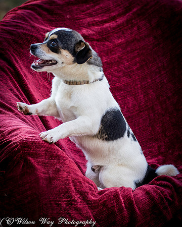 Foster Jethro-14