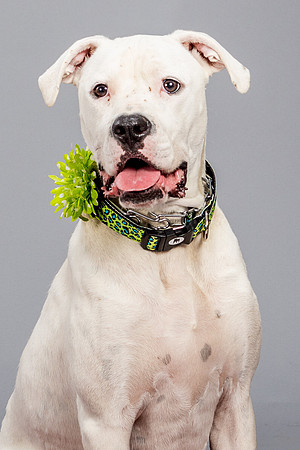 Foster Molly-3715